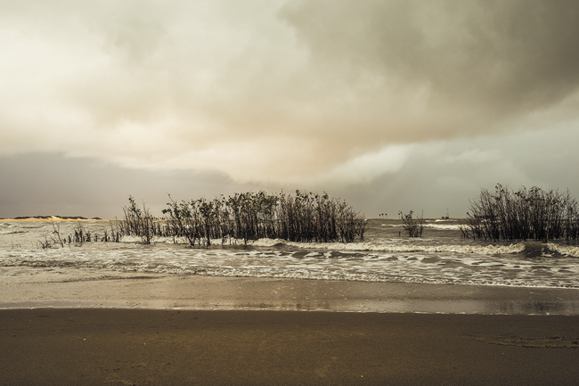 O rio cerceado & outros poemas – Maria Emanuelle Cardoso